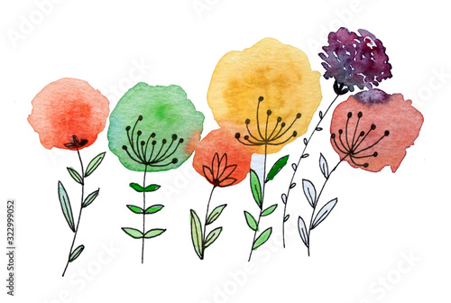 Fiorellini cn soffici corolle colorate isolati su sfondo bianco