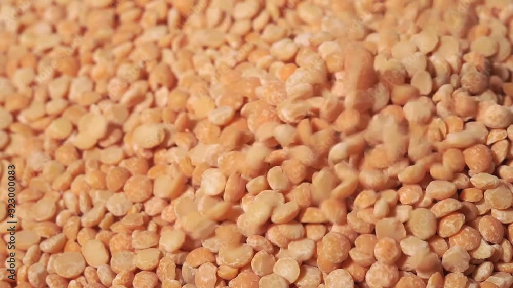 dry yellow peas close-up falling. Closeup. Food video. Raw cereal falling dry yellow peas close-up falling. Closeup. Food video. Raw cereal falling