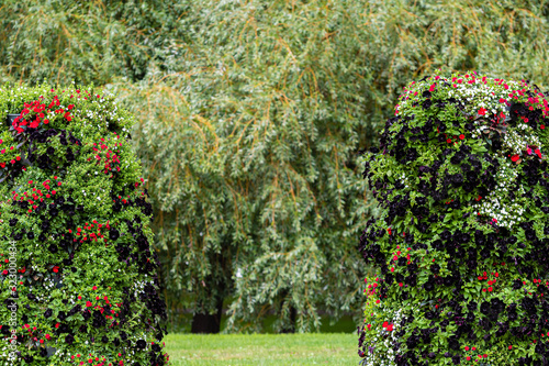 close-up of ornamental shrubs with flowers on a blurry park background with copy space