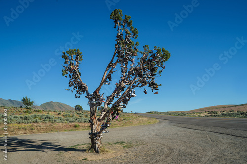 Shoe Tree at Hallelujah Junction on Highway 395, California