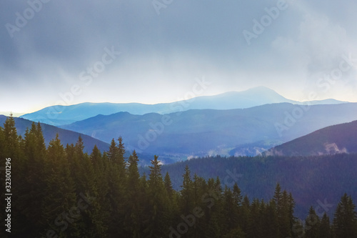 Dark spruce on the background of mountains in cloudy weather. Mountain landscape_