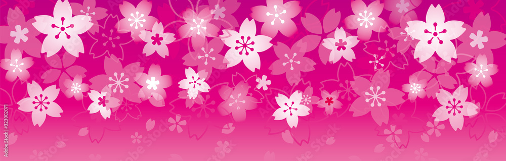 ピンクの桜バナー、背景
