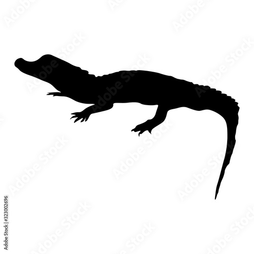 Dwarf Crocodille (Osteolaemus tetraspis) Silhouette Vector Found In Map Of Africa