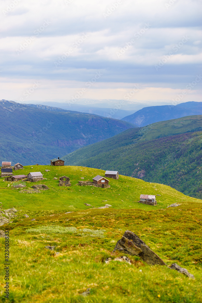 Fototapeta premium Norwegian mountains summer farm