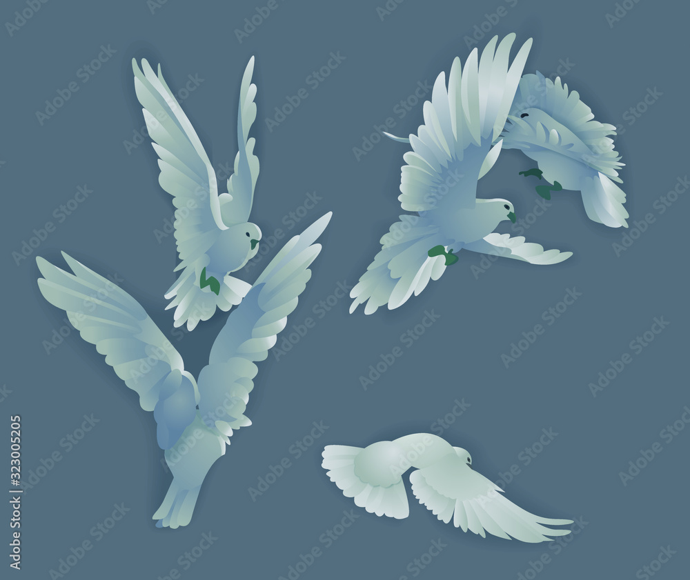 Obraz premium Realistic pigeons set.Doves of peace collection.Vector illustration