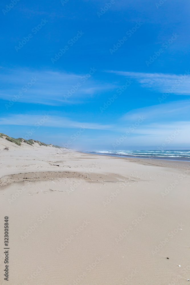 Looking out over a vast sandy beach at Oregon Dunes National Recreation Area
