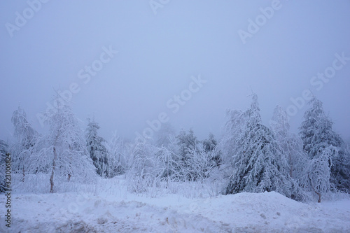 Schneebedeckte Bäume auf dem Fichtelberg bei Nebel und Frost - Snow-covered trees on the Fichtelberg in fog and frost
