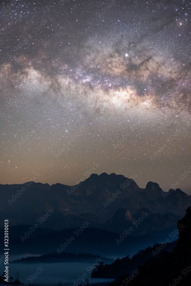 Fototapeta premium The stars and the milky way in the night sky are very beautiful.