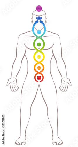 Kundalini yoga. Meditating standing man with chakras and Kundalini serpent, symbolic for spirituality, balance, harmony, relaxation and healing power. Vector illustration on white.