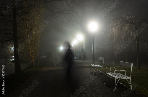 shadow walking in misty park