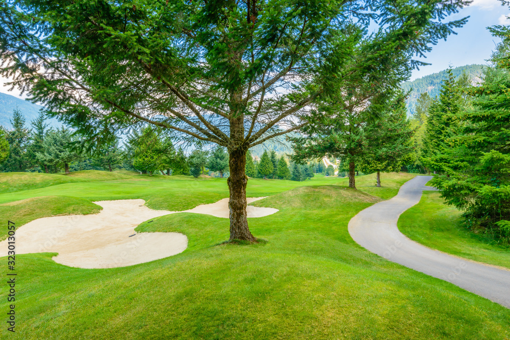 Golf course with gorgeous green and sand bunker Golf course with gorgeous green and sand bunker