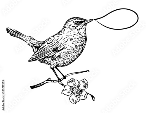 Twitting bird