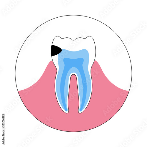 Vector isolated illustration of tooth 