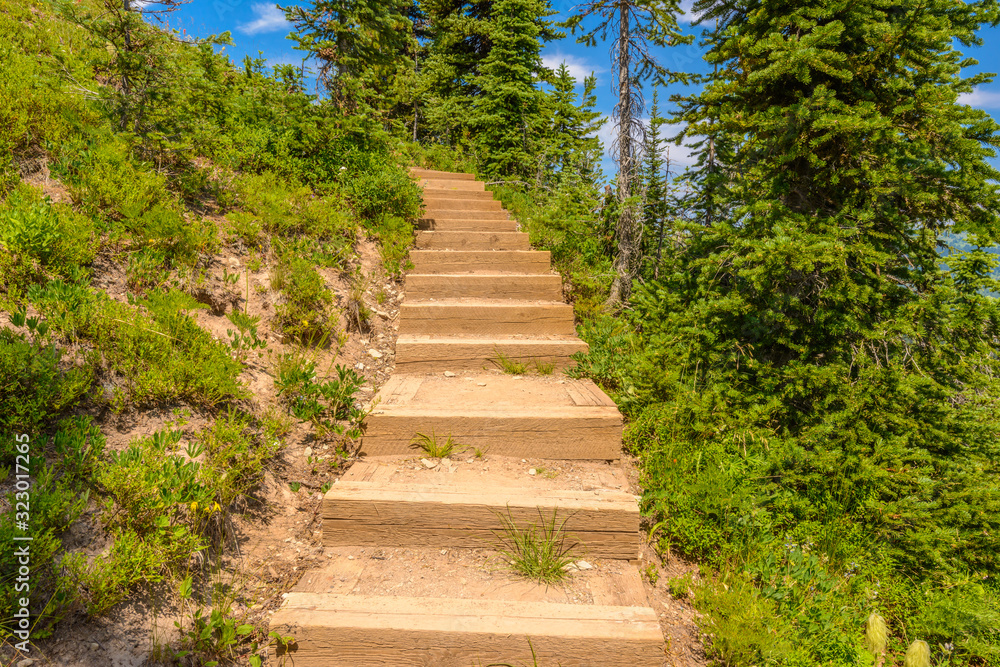 A stairs at trail in Blackwall Peak trail at Manning Park, British Columbia, Canada. A stairs at trail in Blackwall Peak trail at Manning Park, British Columbia, Canada.