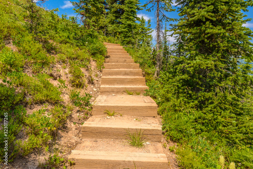 A stairs at trail in Blackwall Peak trail at Manning Park  British Columbia  Canada.