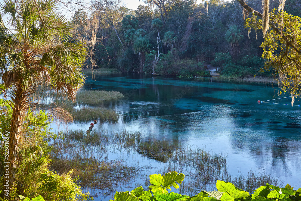 Obraz premium View of the Rainbow River at Rainbow Springs State Park near Dunnellon, Florida