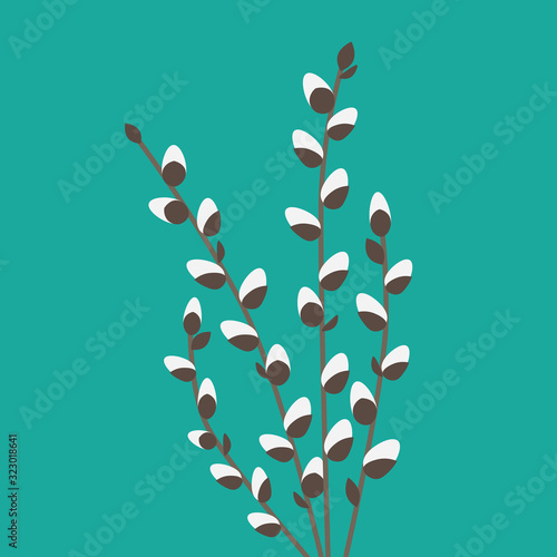 willow catkins twigs- vector illustration