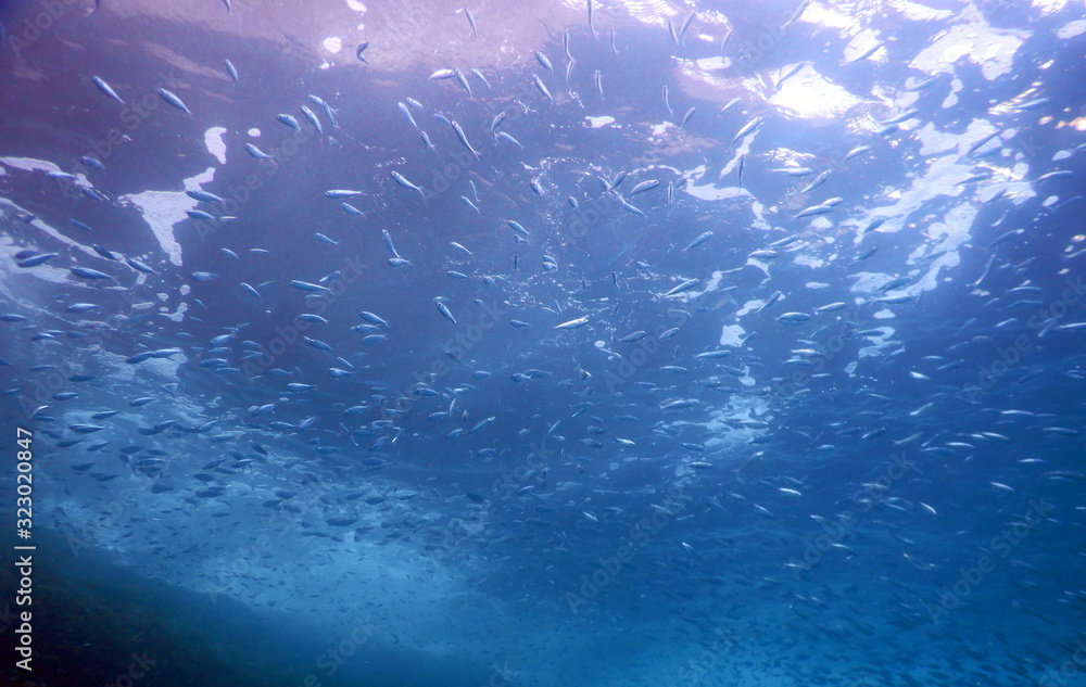 Underwater Underwater