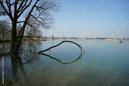 Ast im Wasser