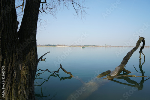 Ast im Wasser