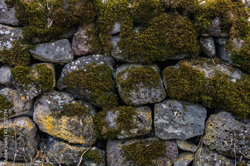 Natural background with stone and moss photo