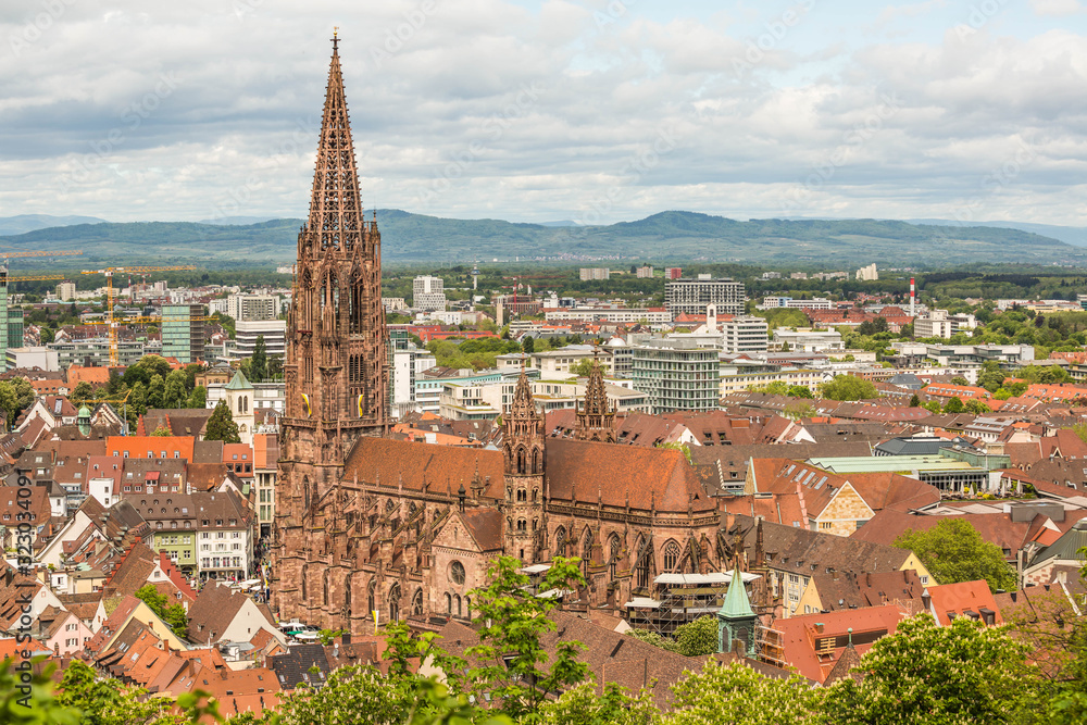 Münster in Freiburg