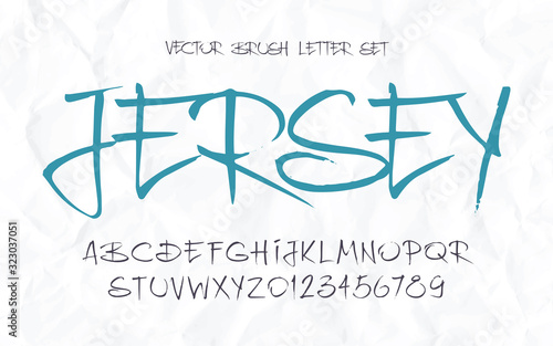 Expressive handwritten calligraphic vector brush letter set