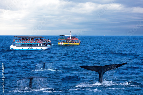 Obraz na płótnie Tourist boats and whale tails ocean view, Sri Lanka, Mirissa, whales watching safari. w salonie