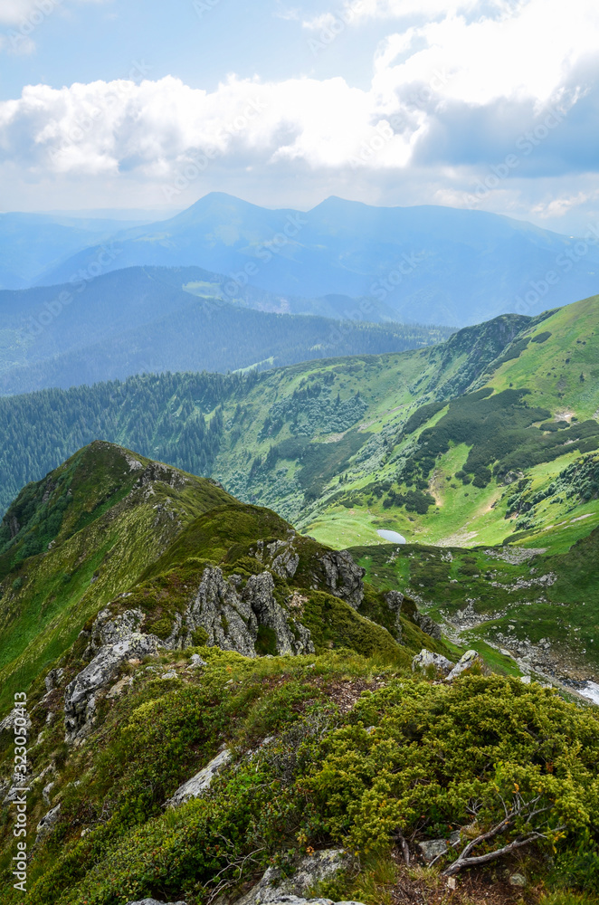 Unbelievable colorful image in the mountains amazing scenery , Marmarosy ridge, Ukraine, popular place for tourism Unbelievable colorful image in the mountains amazing scenery , Marmarosy ridge, Ukraine, popular place for tourism