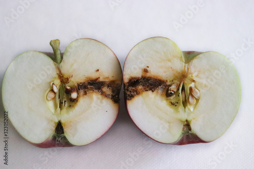 Damage caused by codling moth (Cydia pomonella) caterpillar in apple fruit