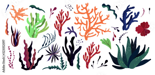 Underwater sea world dwellers, flora and fauna elements. Algae, coral reef, kelp. Vector cartoon illustration.