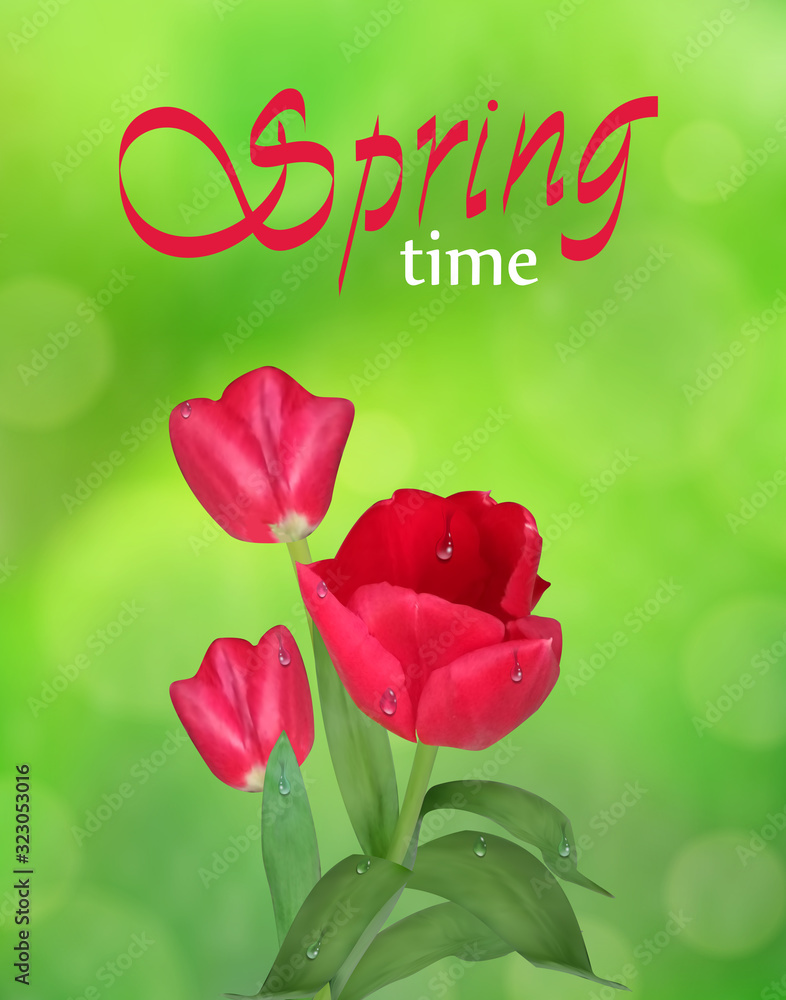Fototapeta premium Spring time. Tulips on Green nature background blurred and bokeh effect. Beautiful spring flowers with water drops. Vertical vector