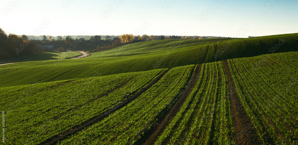 Agricultural fields and hills with young grass in the colorful sunset light.