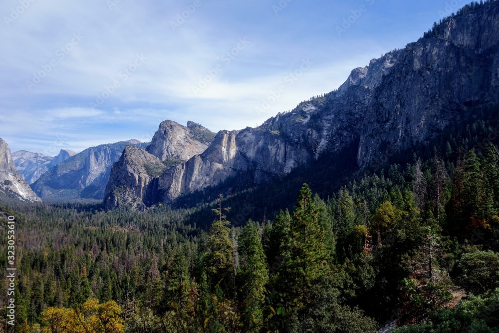 Yosemite Valley - Big Oak