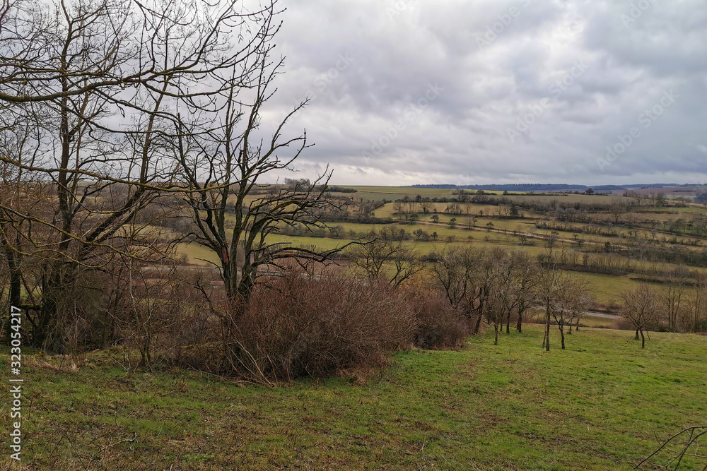 Landscape with trees on a cloudy day Landscape with trees on a cloudy day
