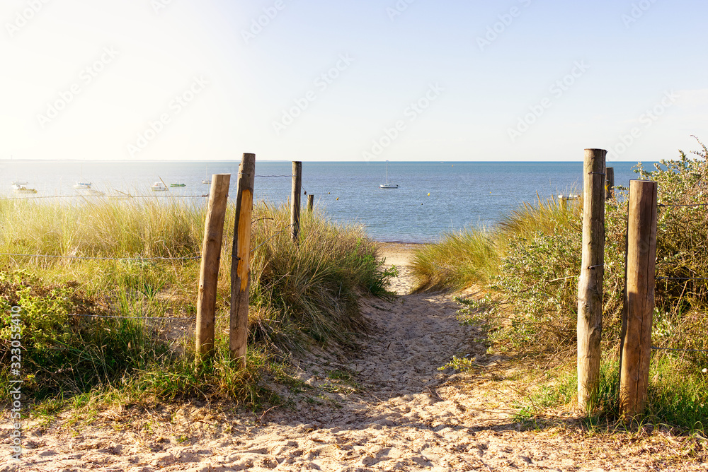 Sandy path in the middle of the dunes leading to the beach surrounded by stakes on the island of Noirmoutier, France
