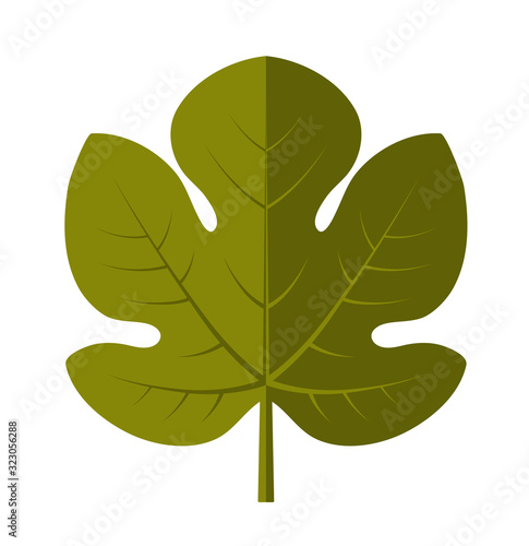 fig leaf