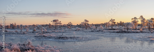 A view to frost-covered Kakerdaja bog on a cold winter morning