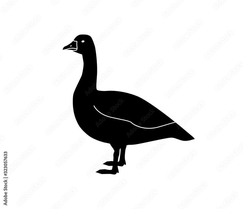 Vector silhouette of chicken, rooster, goose. Isolated on white ...