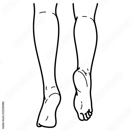 Female legs
