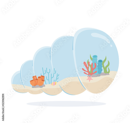 starfish reef coral shell aquarium under sea cartoon