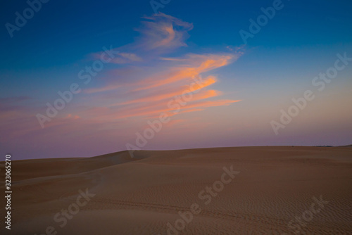 UAE. Desert landscape