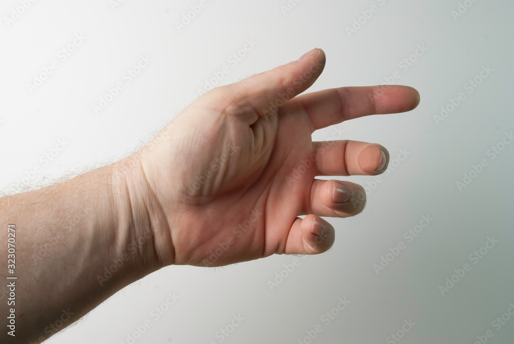 the right and left hand of a person trying to reach or grab something. throw, touch sign. I reach out to the left. isolated on a white background the right and left hand of a person trying to reach or grab something. throw, touch sign. I reach out to the left. isolated on a white background