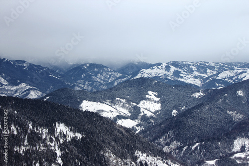 View of snowy mountains with forest in Bakuriani, Georgia