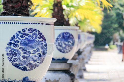 Traditional asian pots with palms inside. White pots with typical blue dragon, Vietnam