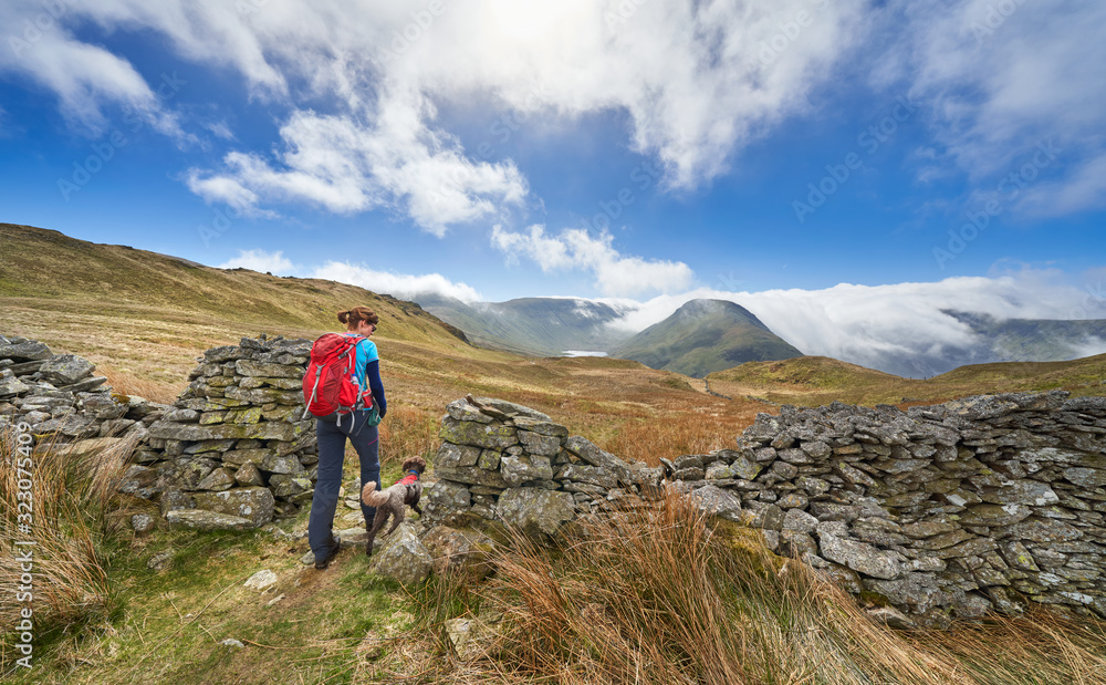 A female hiker and their dog out walking in the mountains with views of Hayeswater and summits of Gray Crag, Thornthwaite and a cloud covered Stony Cove Pike in the distance. Lake District UK.