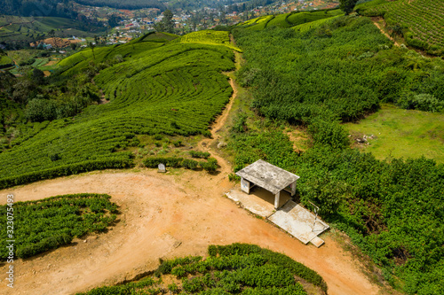 Aerial view of tea plantations on the island of Sri Lanka photo