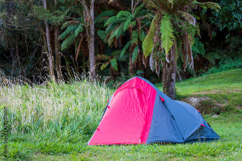 Kiwi camping
