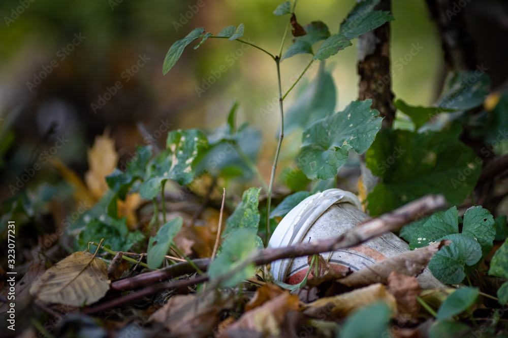 Abfall im Wald