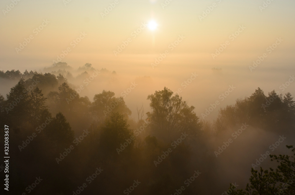 Dawn on a foggy morning, trees and hills in the fog, beautiful morning light and magical atmosphere.